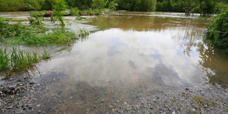 Gestão de redes sociais