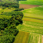 João Eustáquio De Almeida Junior analisa como a gestão de resíduos na agricultura pode reduzir impactos ambientais e aumentar a eficiência no campo.