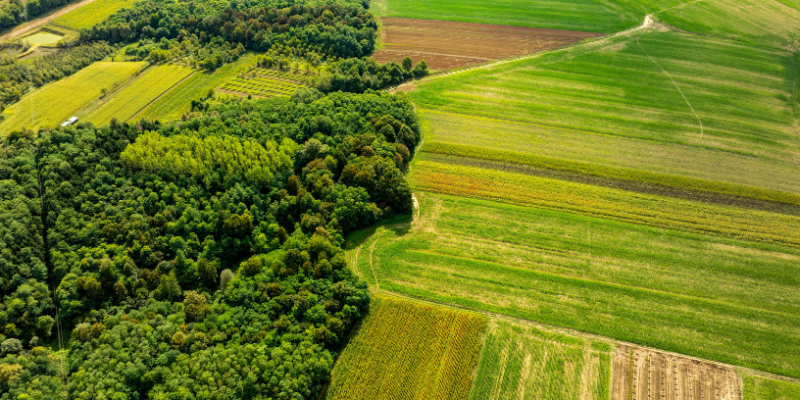João Eustáquio De Almeida Junior analisa como a gestão de resíduos na agricultura pode reduzir impactos ambientais e aumentar a eficiência no campo.