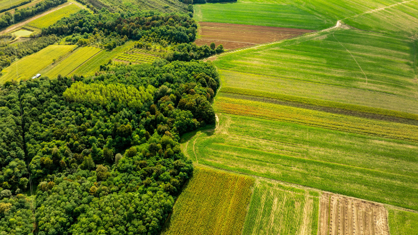 João Eustáquio De Almeida Junior analisa como a gestão de resíduos na agricultura pode reduzir impactos ambientais e aumentar a eficiência no campo.