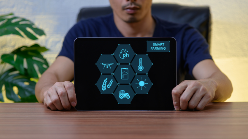 Luciano Colicchio Fernandes