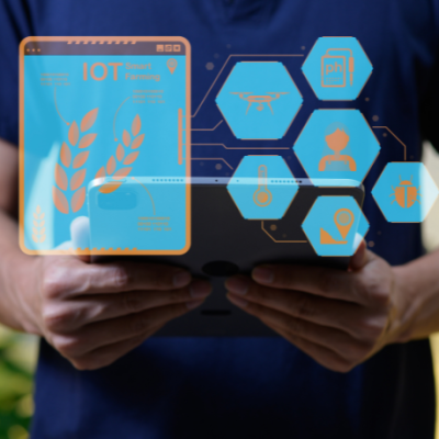 Luciano Colicchio Fernandes