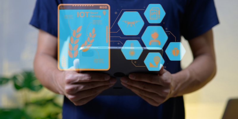 Luciano Colicchio Fernandes