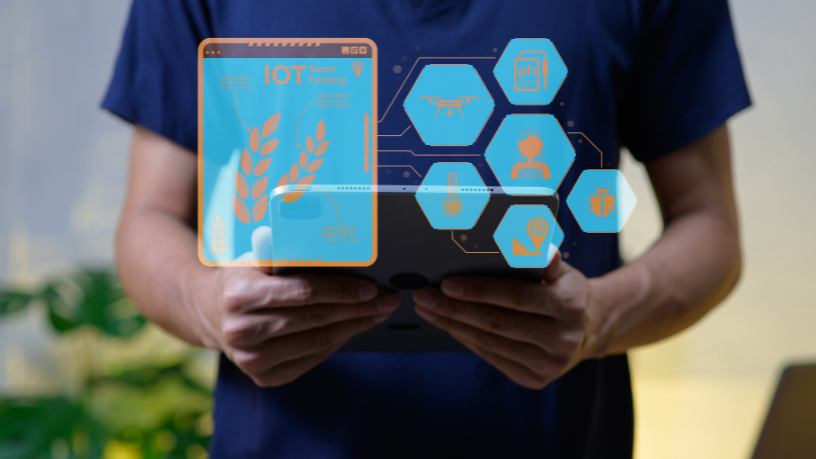 Luciano Colicchio Fernandes